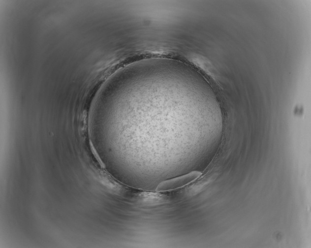 X0000090970528200708091439