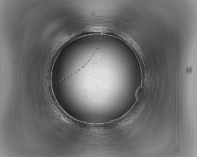 X0000090970529200708091438