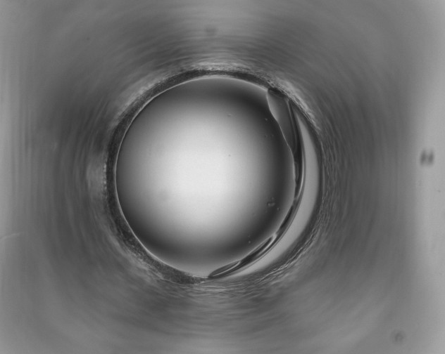 X0000090970531200708091438