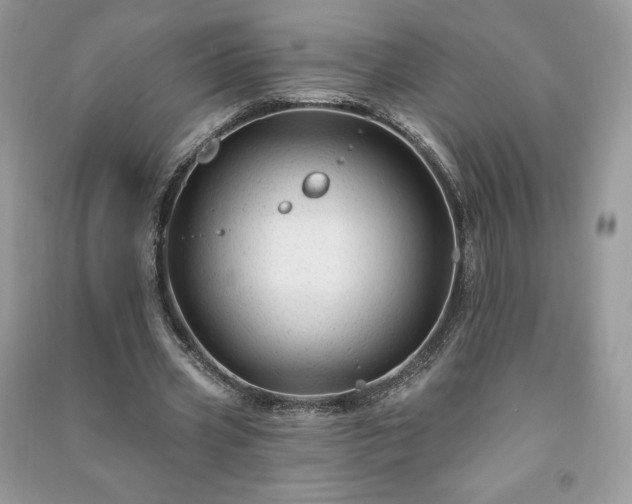 X0000090970533200708091438