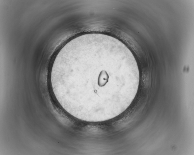 X0000090970534200708091438