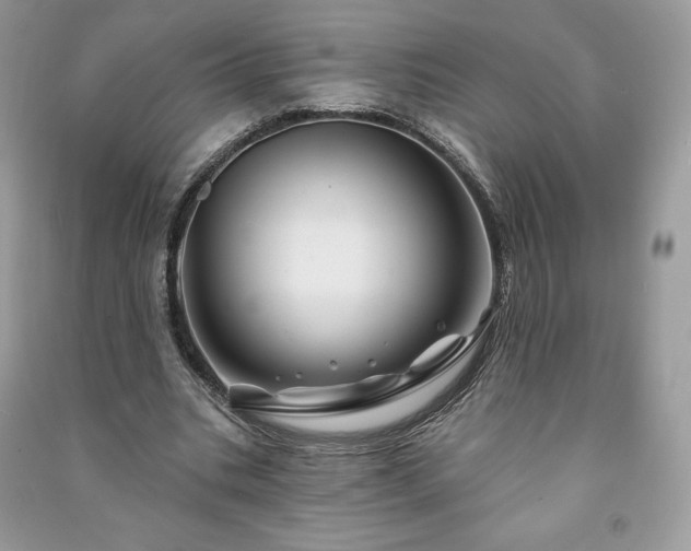 X0000090970535200708091438