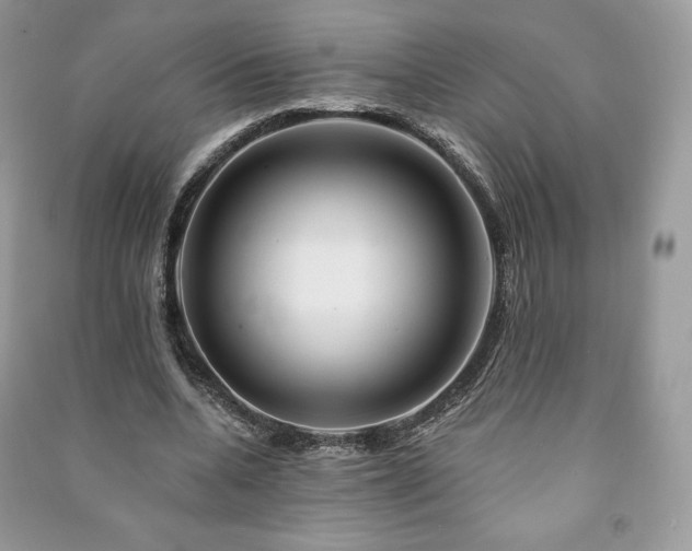 X0000090970536200708091438