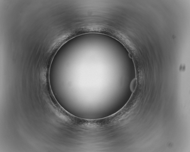 X0000090970537200708091438