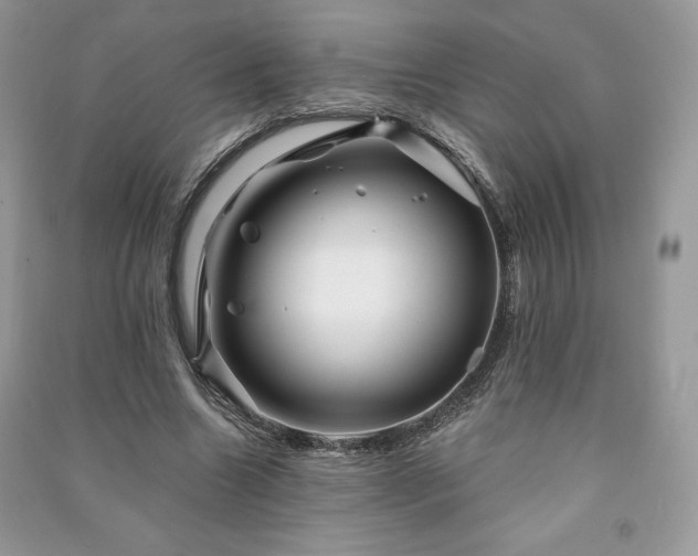 X0000090970538200708091438