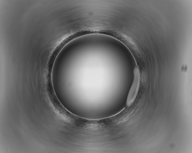 X0000090970540200708091438