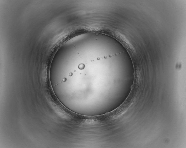 X0000090970541200708091438