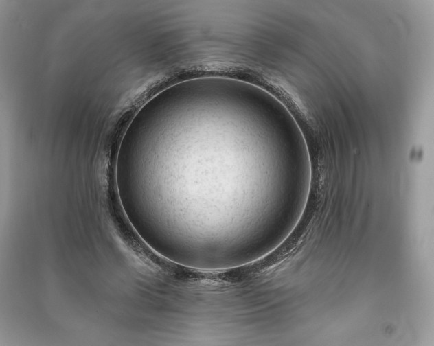 X0000090970542200708091438