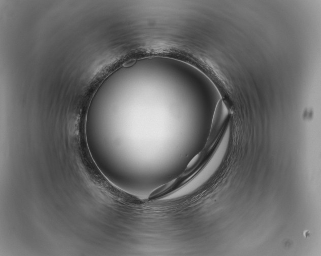 X0000090970543200708091438