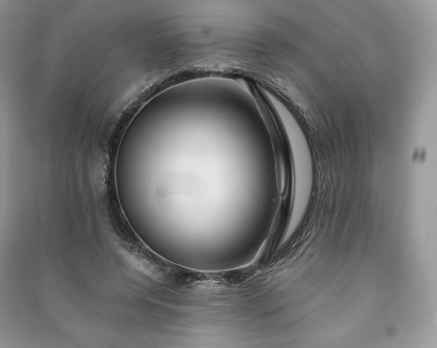 X0000090970544200708091438