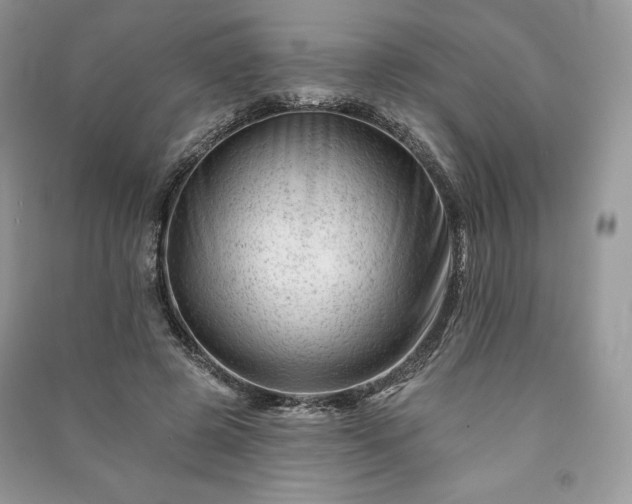 X0000090970545200708091438