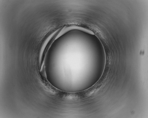 X0000090970546200708091438