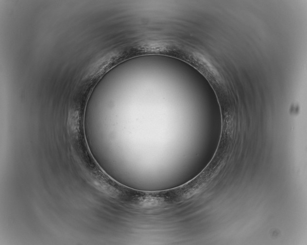 X0000090970549200708091438