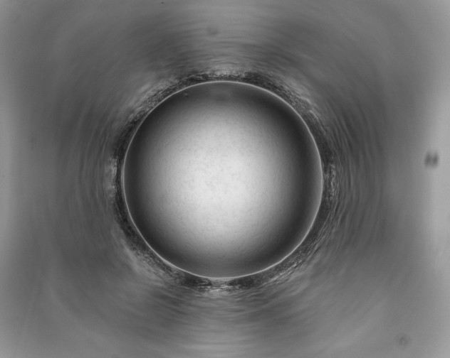 X0000090970550200708091439