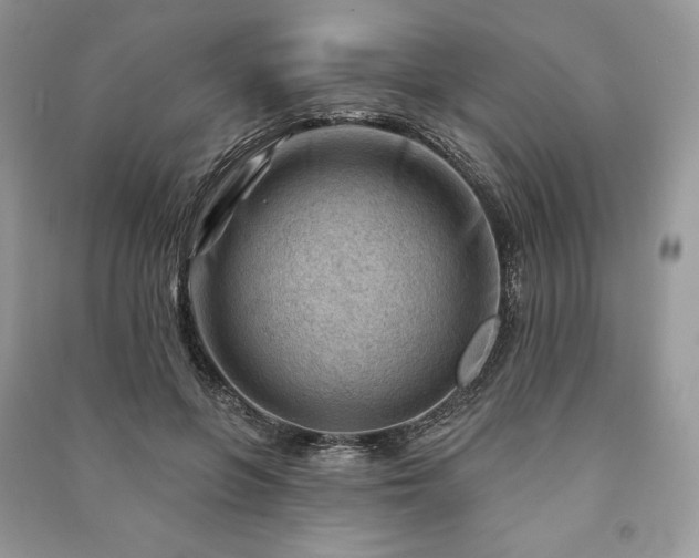 X0000090970551200708091439