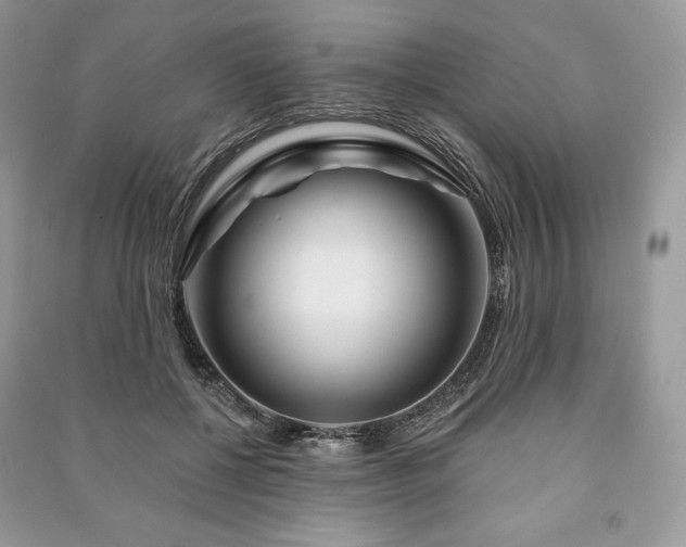 X0000090970552200708091439