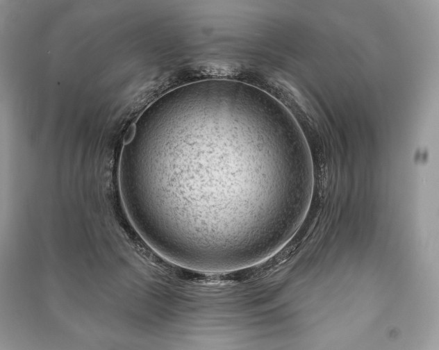 X0000090970553200708091439