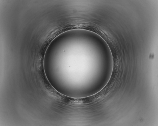 X0000090970554200708091439