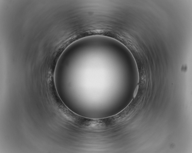 X0000090970555200708091439