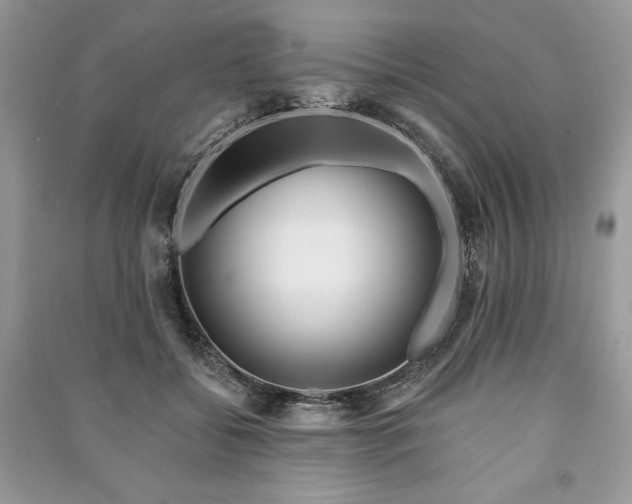 X0000090970556200708091439