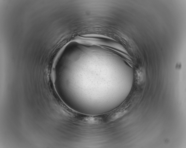 X0000090970558200708091439