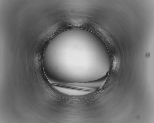 X0000090970559200708091439