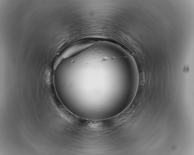 X0000090970560200708091439