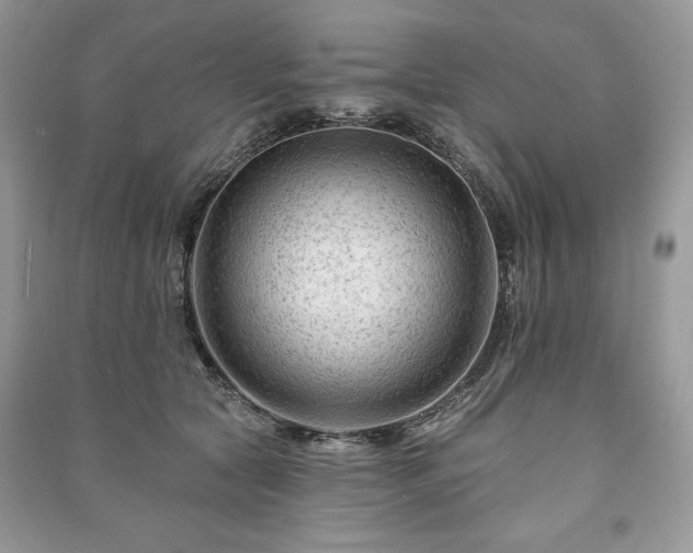 X0000090970561200708091439