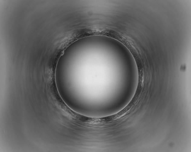 X0000090970563200708091439