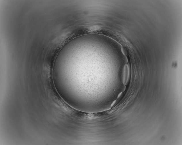 X0000090970565200708091439