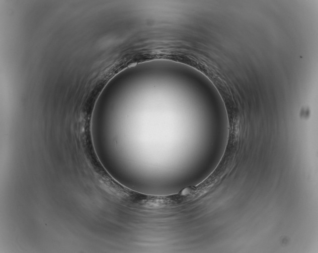 X0000090970567200708091439