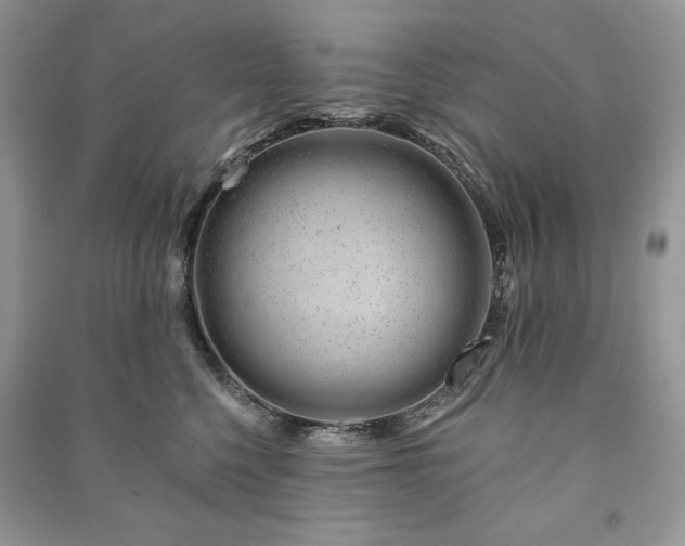 X0000090970568200708091439