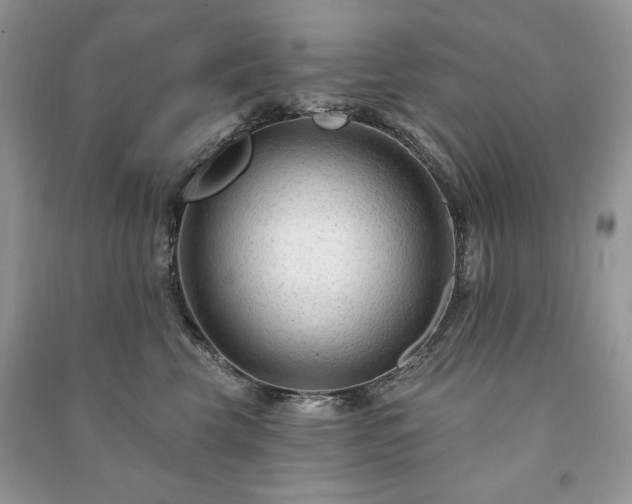 X0000090970569200708091439