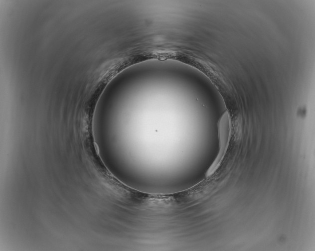 X0000090970571200708091439