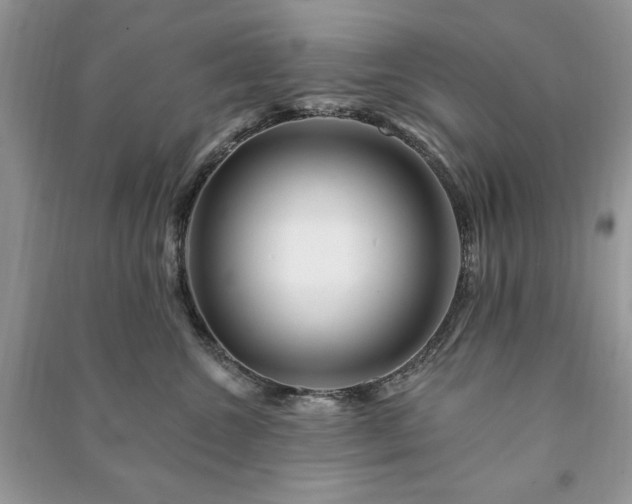 X0000090970572200708091439