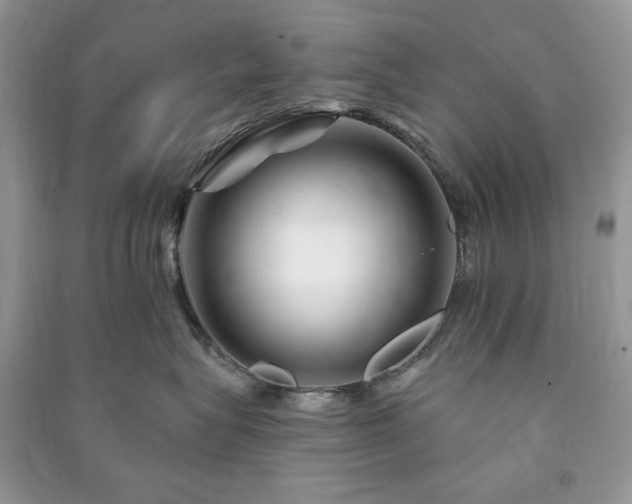 X0000090970575200708091439