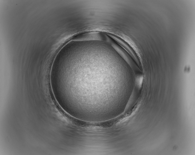 X0000090970577200708091438