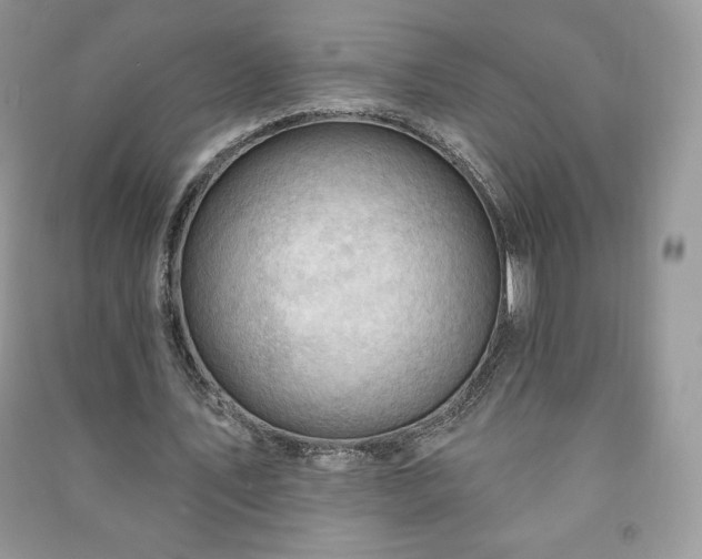 X0000090970579200708091438