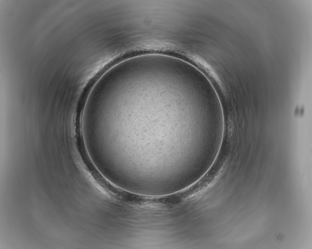 X0000090970581200708091438