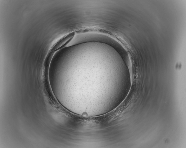 X0000090970583200708091438