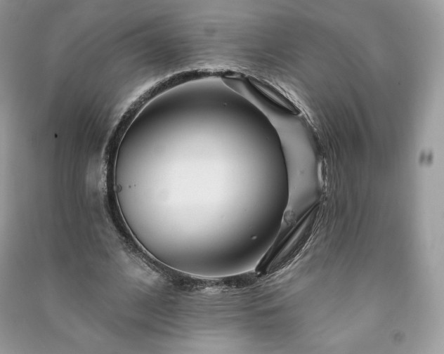 X0000090970584200708091438