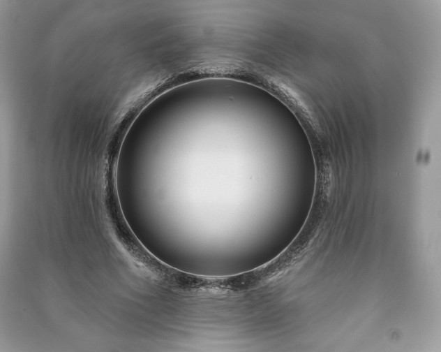 X0000090970586200708091438