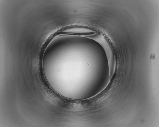 X0000090970588200708091438