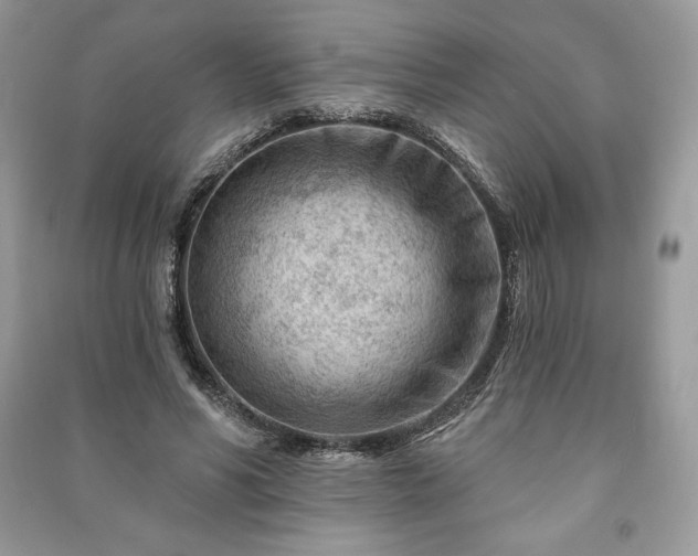 X0000090970590200708091438