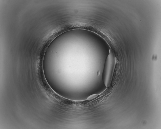 X0000090970591200708091438