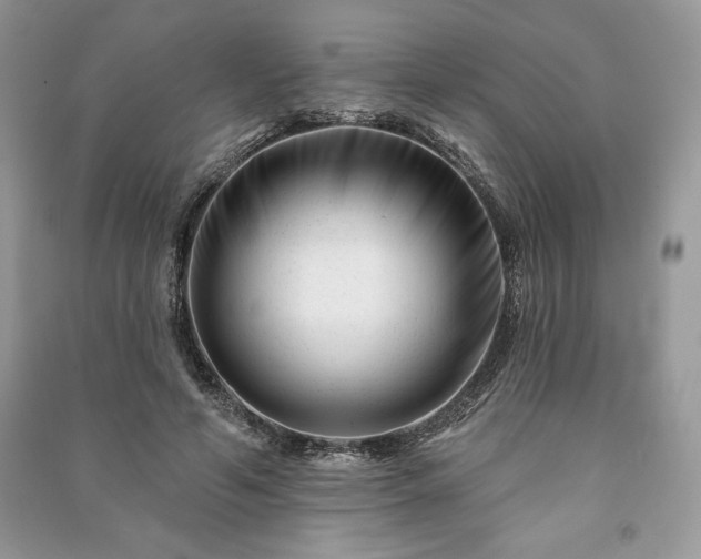 X0000090970594200708091438