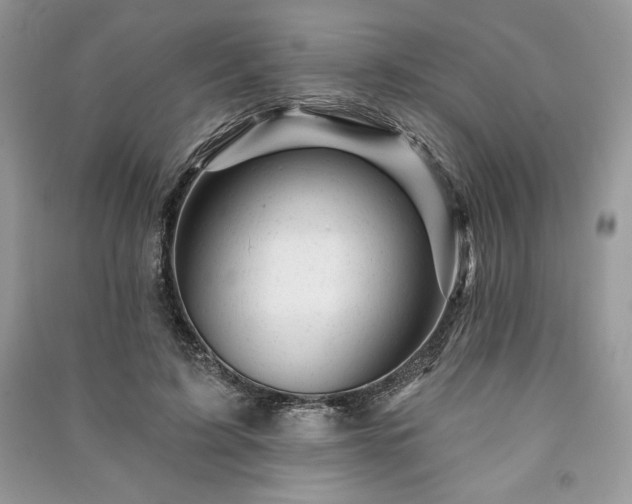 X0000090970595200708091438