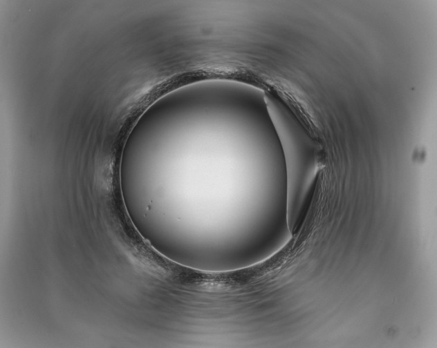 X0000090970596200708091438