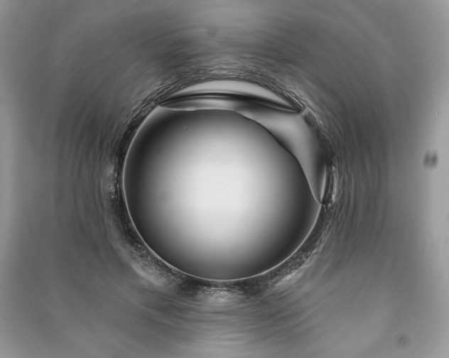 X0000090970597200708091438