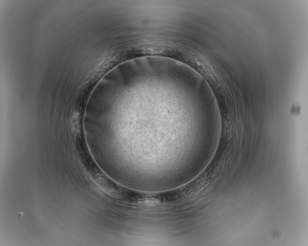 X0000090970598200708091438